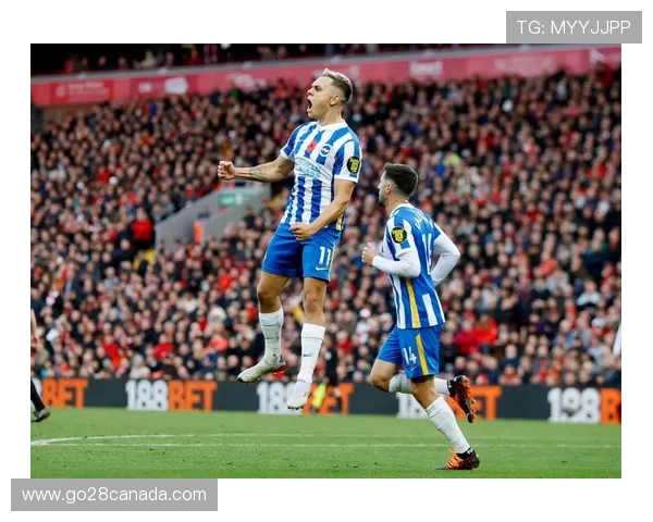 布莱顿海岸足球文化的独特魅力与地域风情展示