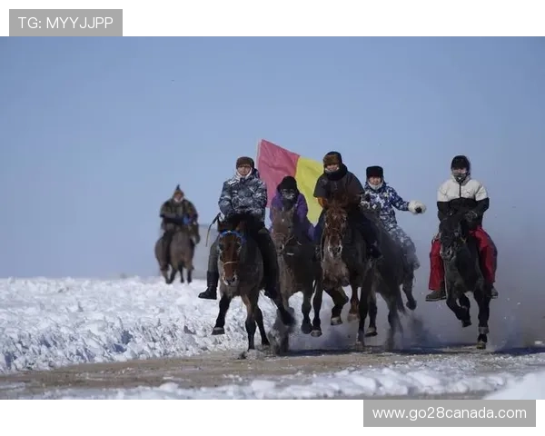雪地赛马与曲棍球同办，莫力达瓦四季活动惠民