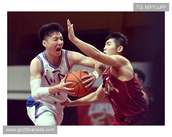 韩硕执教四川男篮,前八一队员转型教练再出发 韩硕执教四川男篮,前八一队员转型教练再出发