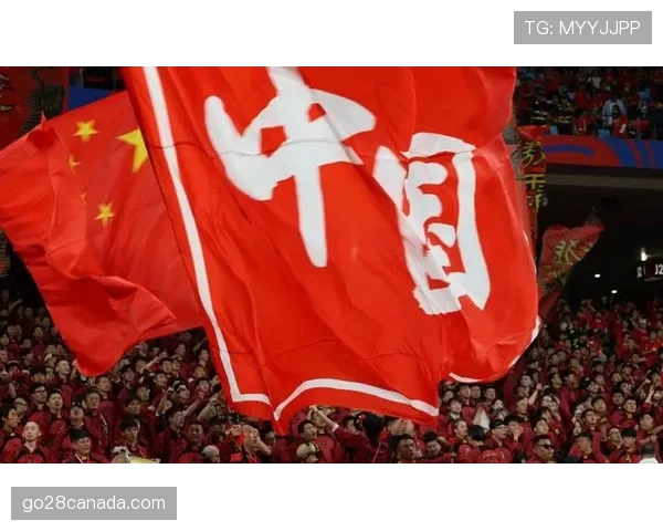 特写：南特球迷在主场告别战中向即将离队的功勋队长致敬